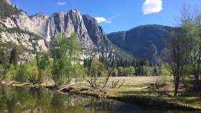 Verdacht auf neuen Pest-Fall in Kalifornien