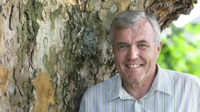 „Schon Sträucher helfen“