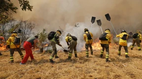 Waldbrände in Spanien und Portugal wüten weiter