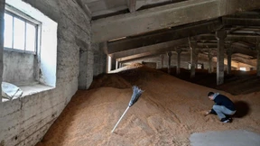 EU gibt im Streit um Getreideimport aus der Ukraine nach