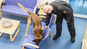 Der Rechtsstaat ist ein lernendes System