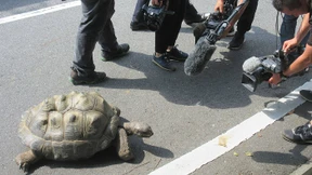 140 Meter in die Freiheit