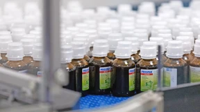 Das sind die Hessen-Champions 2024