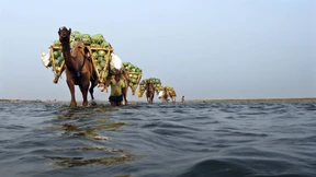 Sonderweg zum gleichen Ziel?