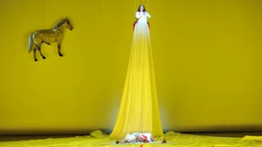 Verschleierung links und rechts des Rheins