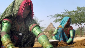 Die Pflanzen-Gentechnik spaltet das Land