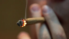 Cannabis macht verwundbar