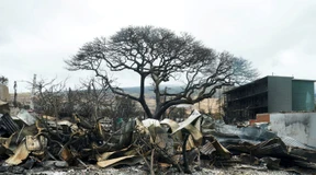 Maui verklagt nach Brandkatastrophe örtlichen Stromversorger