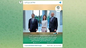 Wer hat Annalena Baerbock verpixelt?