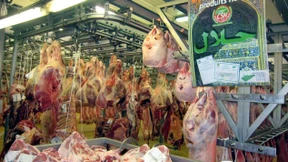 Fleisch vom Fleische