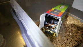 Zoll findet lebende Schlangen in Frachtpaket