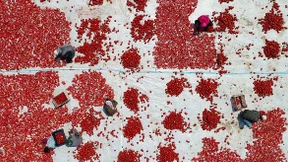 Es geht um mehr als eine Autofabrik