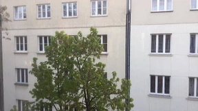 Güte und Mut frisch vereint