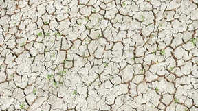 Extremes Wetter erschwert Planung