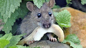 Wie halte ich mein Team bei Laune?