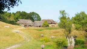 Wie die Germanen lebten und arbeiteten