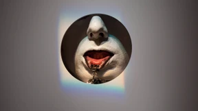 Der Hirsch Gottes röhrt nicht 