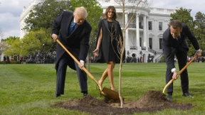 Gemeinsam eine Eiche pflanzen