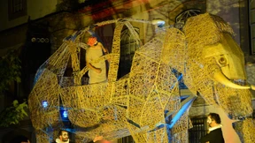 Die Abschiedsreise des Elefanten Salomon