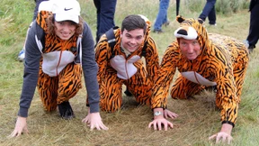 Der Tiger ist auf dem Sprung