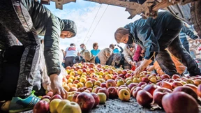 Überleben in Putins Hinterhof