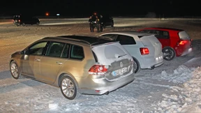 Das Golfsrudel lauert