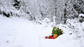 Eine Tat, die man nicht begreifen kann