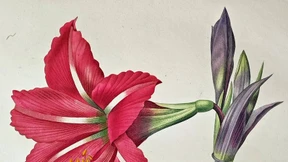 Hat der Handel mit alten Büchern noch eine Zukunft?