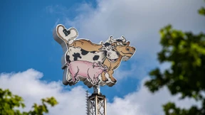 Das Aus für Werkverträge verändert die Fleischindustrie