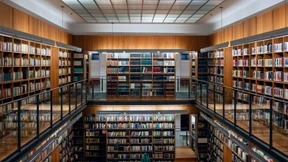 Was hat es mit den Vorwürfen gegen Brosius-Gersdorf auf sich?