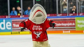 Eishockeyteams verzichten auf Wappentiere