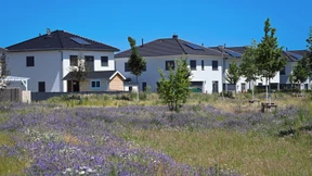 Worum es in Thüringen inhaltlich geht