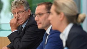 Die Sinnkrise der AfD