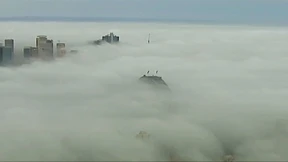 Sydney verschwindet im Nebel