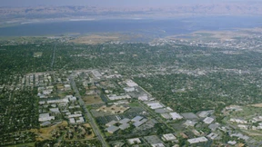 Aus der Nähe sehen sie ganz friedlich aus