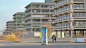 Der Untergang droht ihnen nicht