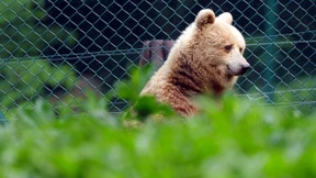 Gute Nachrichten, die Sie verpasst haben dürften