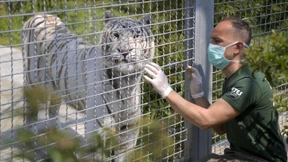 Pfleger ziehen in Südafrika zu ihren Schützlingen