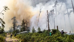 Waldbrand auf ehemaligem Militärgelände nahe Münster