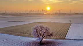 Ein Jahr ohne Dauerfrost ist nicht mehr fern