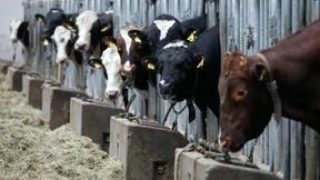 Alles Leben produziert Methan