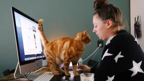 Unsere Unworte des Jahres 2020