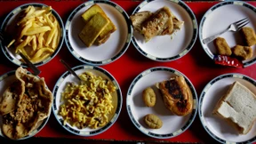 Die Welt ist ein Mensa-Buffet