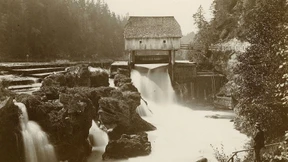 Töten ist unser Leben