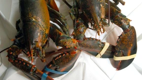 Frikadellen, Sauerbraten, Tiefkühlhummer