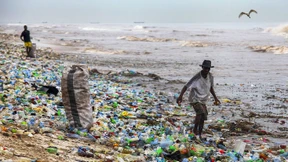 Bienenschützer, Plastikhasser, Öko-Narren