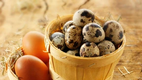 Die beste Anlageklasse