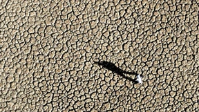 Drehbuch eines Höllensommers