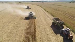 Bayer will Bedenken gegen Gen-Saatgut respektieren