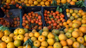 „Dort sind Menschen gestorben“